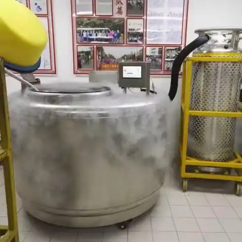 氣相液氮罐